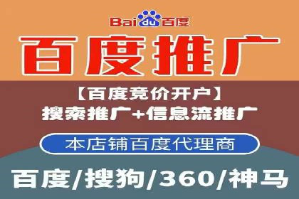 SEM托管公司案例分析：数据驱动决策